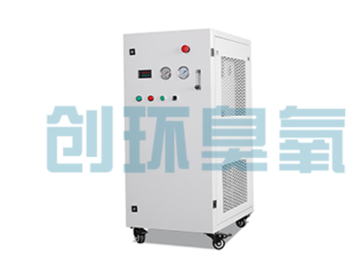 佳木斯石斑鱼养殖水质调控完整指南:臭氧发生器配置与操作步骤